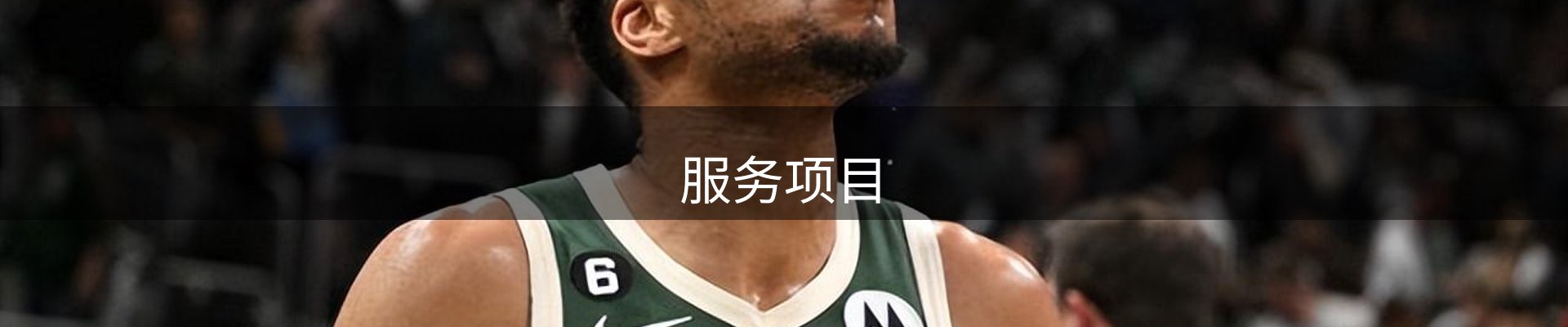 服务项目