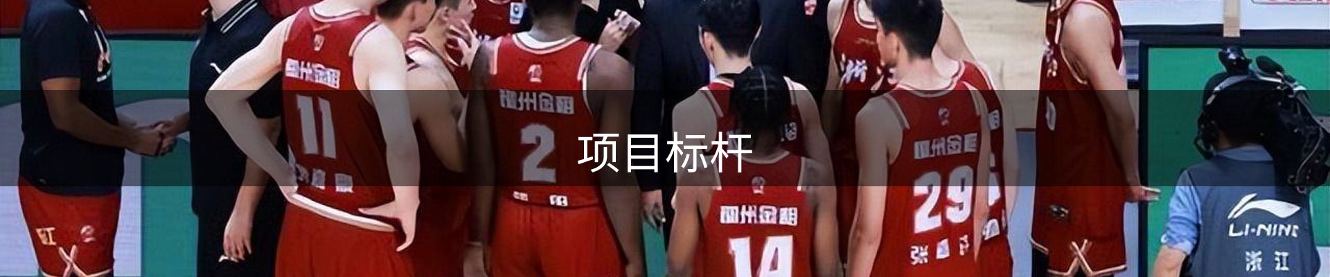 项目标杆